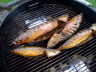 Makreller kan ryges i en grill med låg.